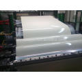 PPGI in Coils Prepainted Galvanized Steel Coil